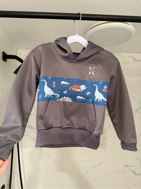 Kids Gray Hoodie with Blue Dinosaur Panel